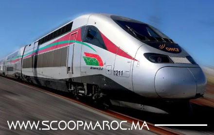 عريضة TGV بسطات تساءل المسؤولين عن سبب تعطيل خدمة 2727   وتجميد المشاركة المواطنة